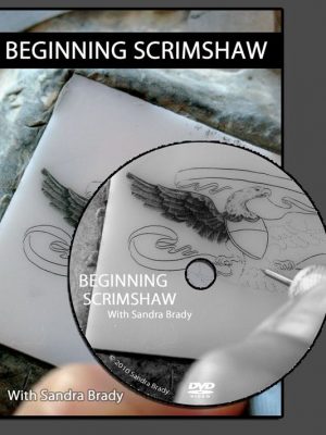 Beginning Scrimshaw DVD-  Instant DOWNLOAD!