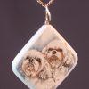 Shih Tzu portrait scrimshaw