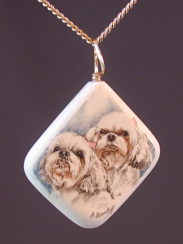 Shih Tzu portrait scrimshaw