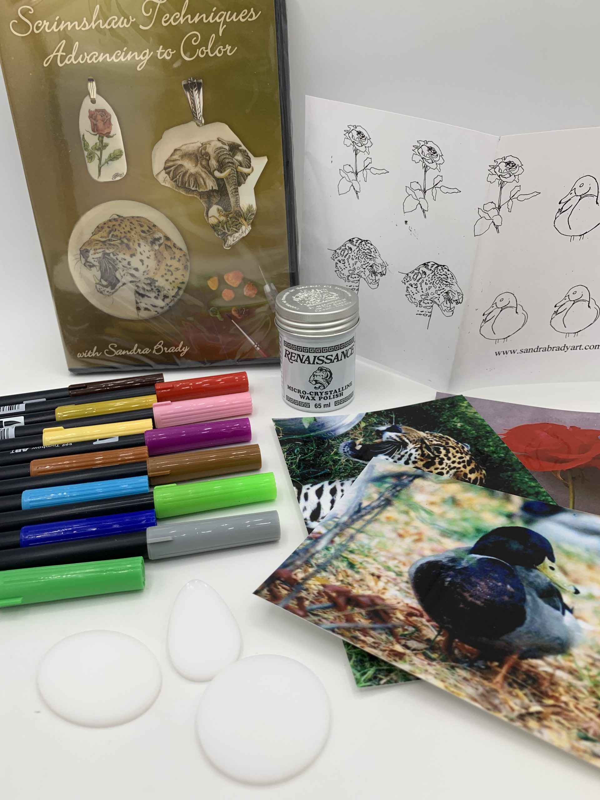 color scrimshaw supplies