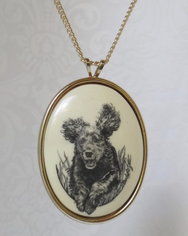 SpanielG1-72 BOYKIN SPANIEL DOG