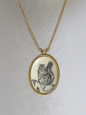 Black Squirrel Perched