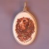 Spaniel dog scrimshaw