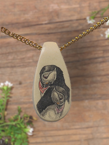 Puffins scrimshaw