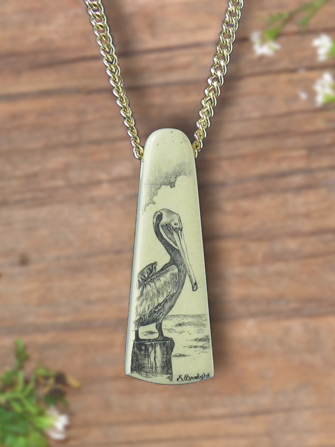 Pelican scrimshaw
