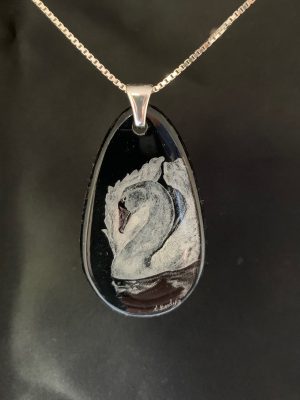 white trumpeter swan