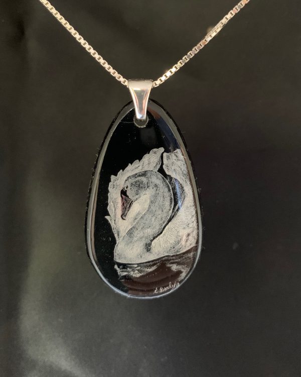 Trumpeter Swan white trumpeter swan