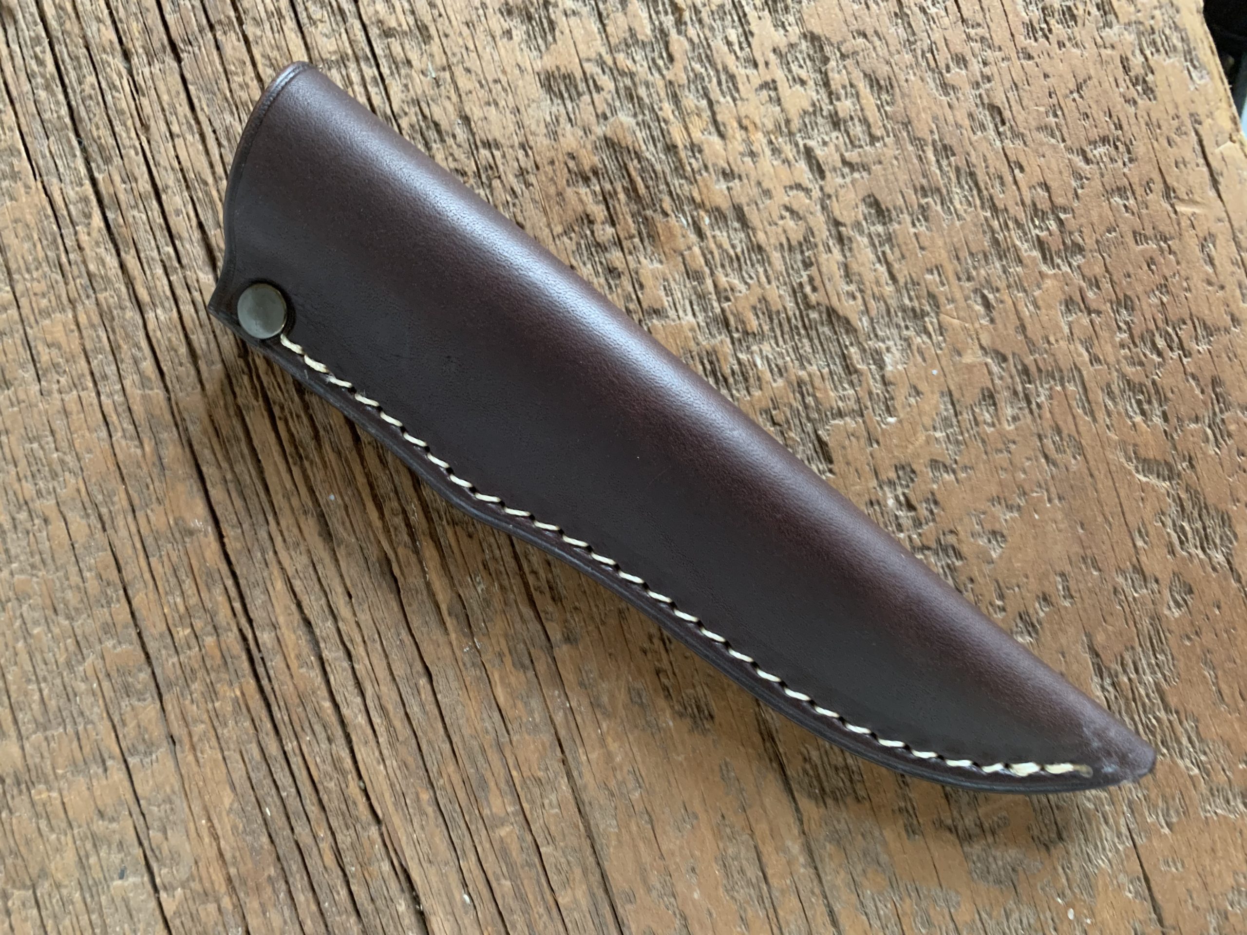 This wolf is ready to pounce. Snarling Wolf